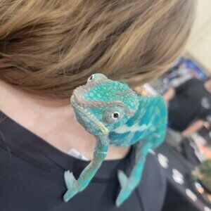 Meet your Posher, Marc